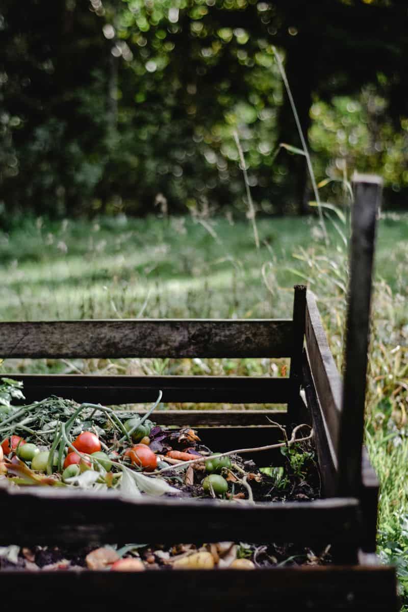 Composting Corner