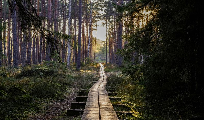 Connection to Nature