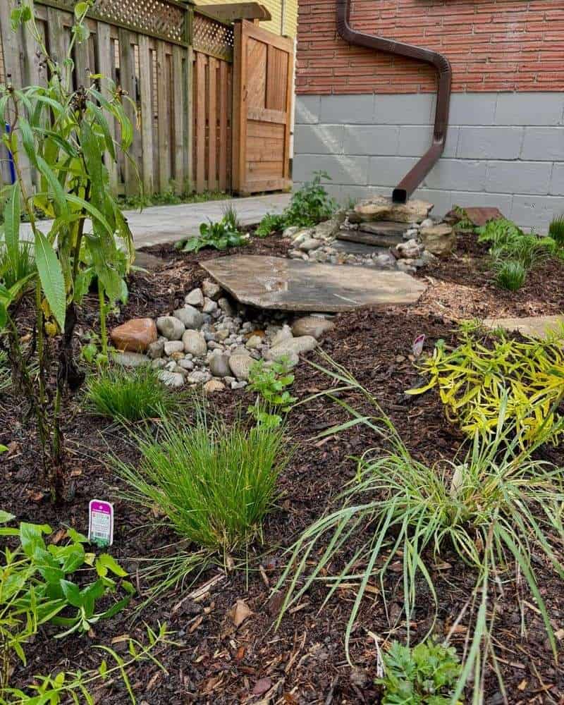 Create a Rain Garden