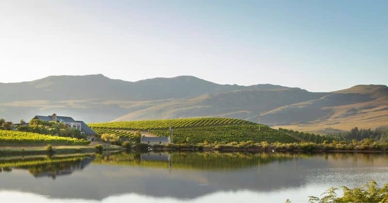 Creation Wines – Hemel-en-Aarde, South Africa