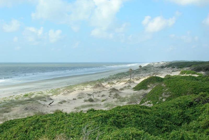 Cumberland Island, Georgia