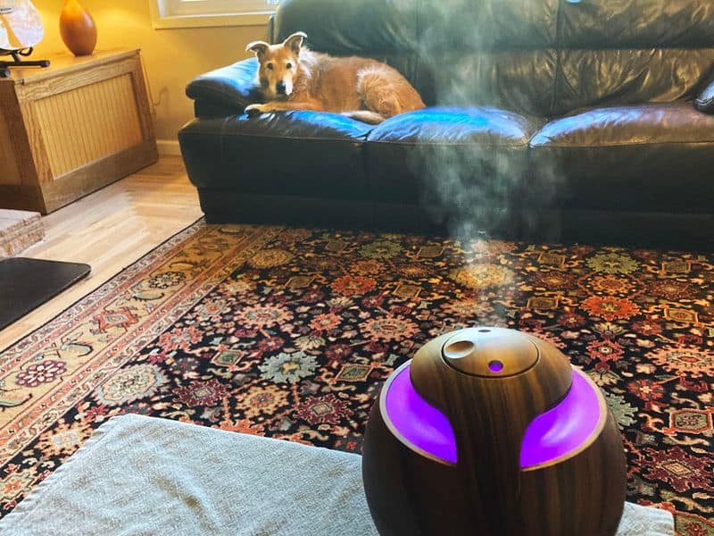 Relaxing Aromatherapy Spot