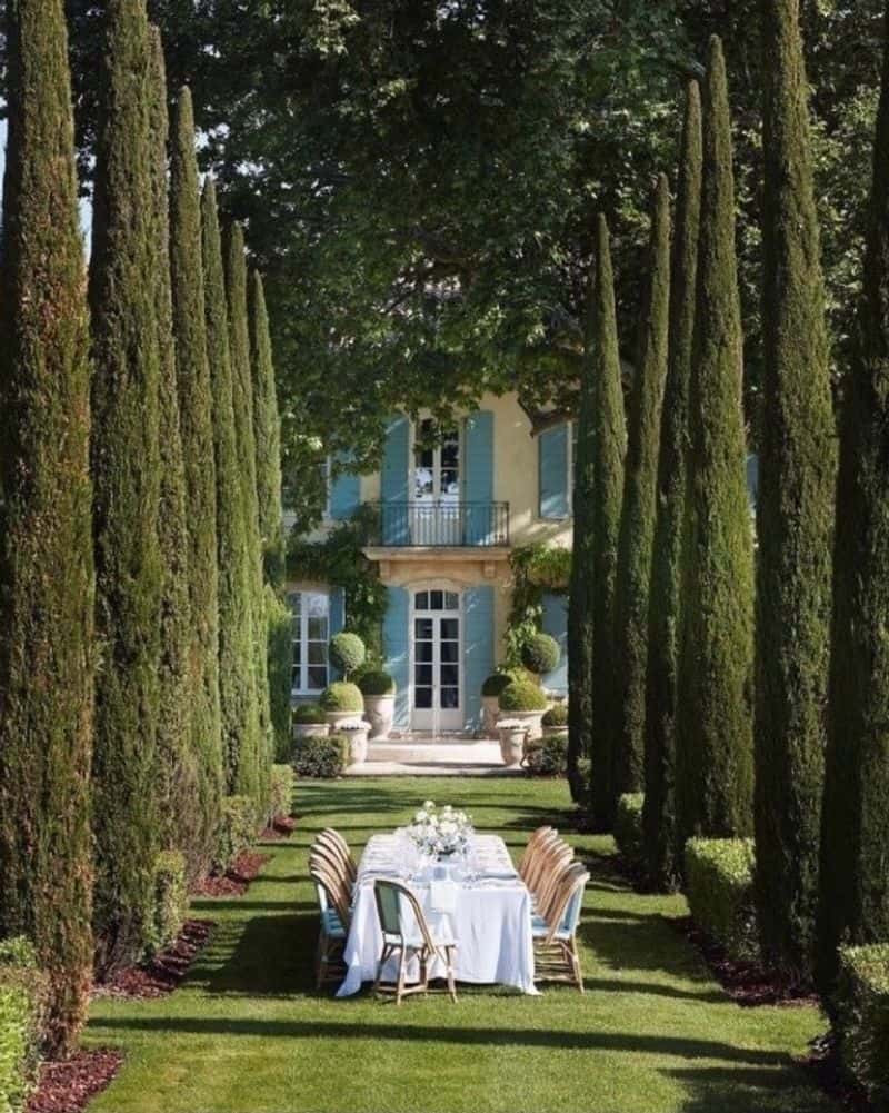 Cypress Row Arrangement