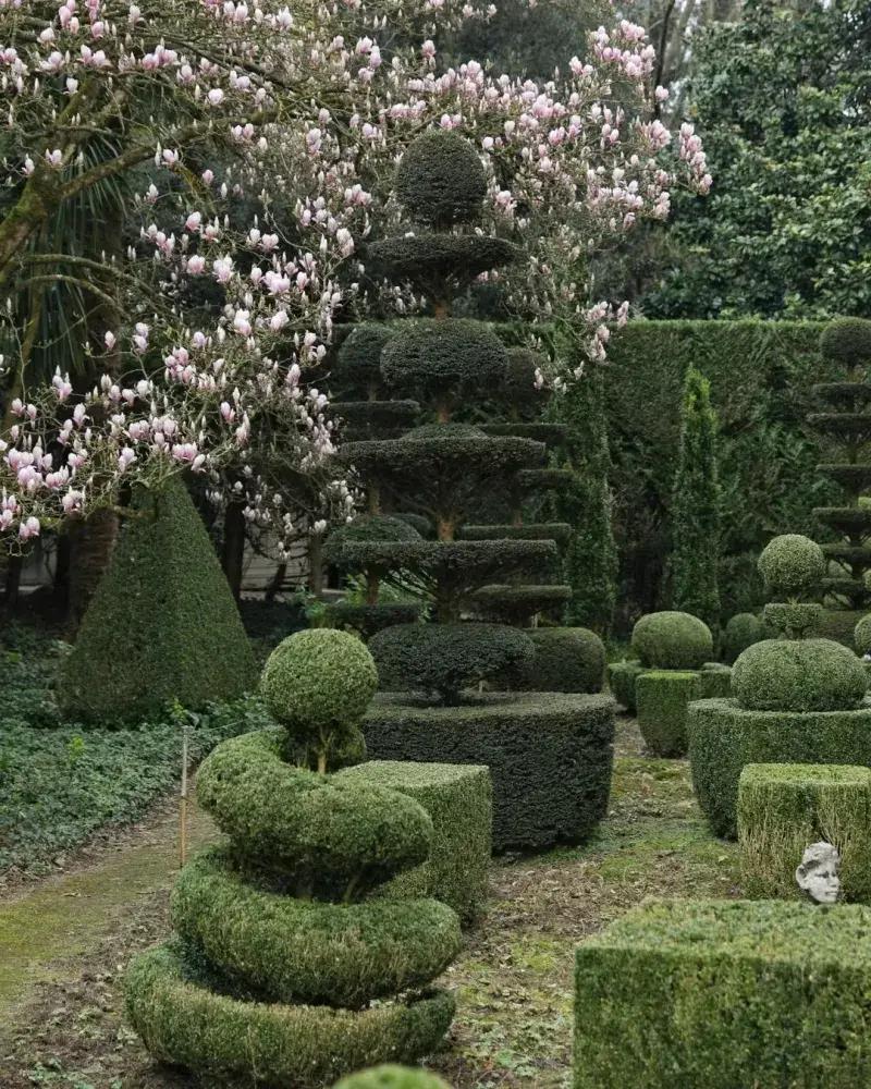 Cypress Topiary Art