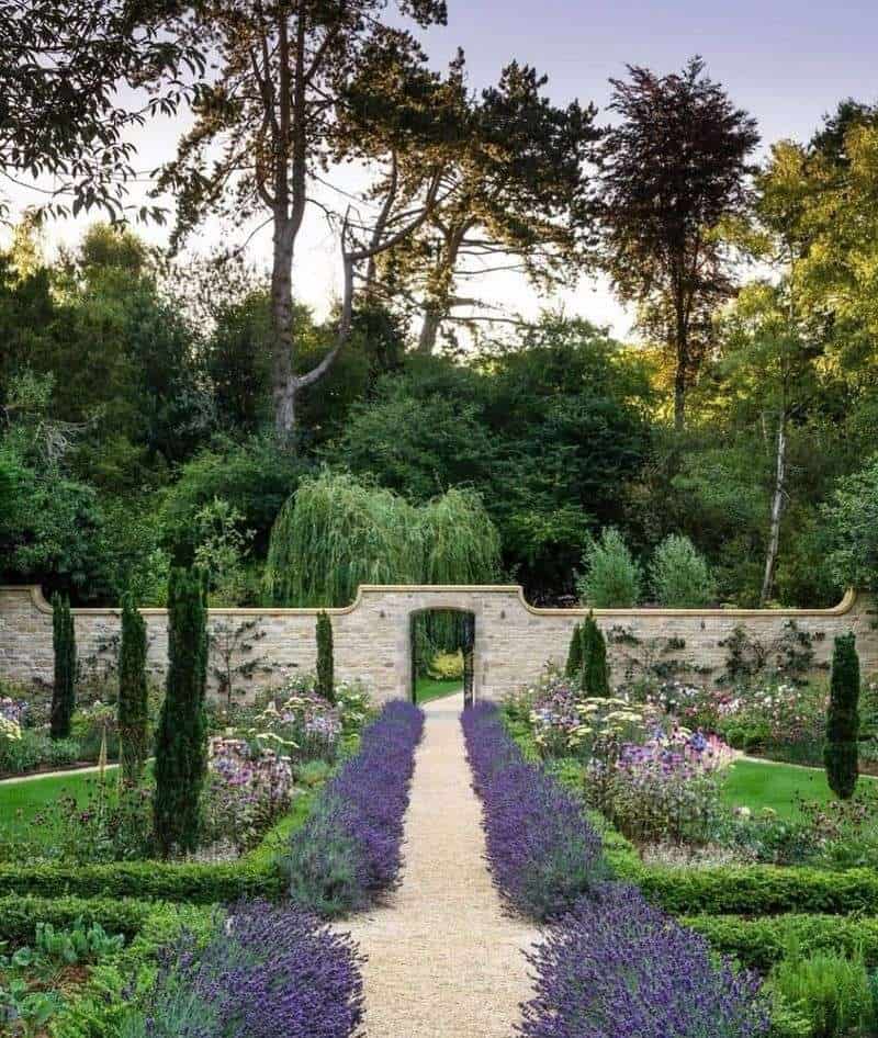 Cypress and Lavender Harmony