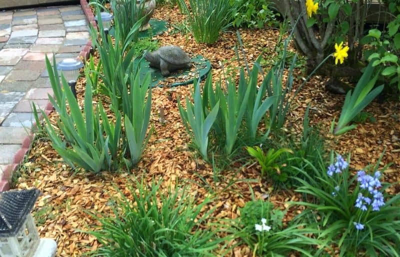 Seasonal Mulching