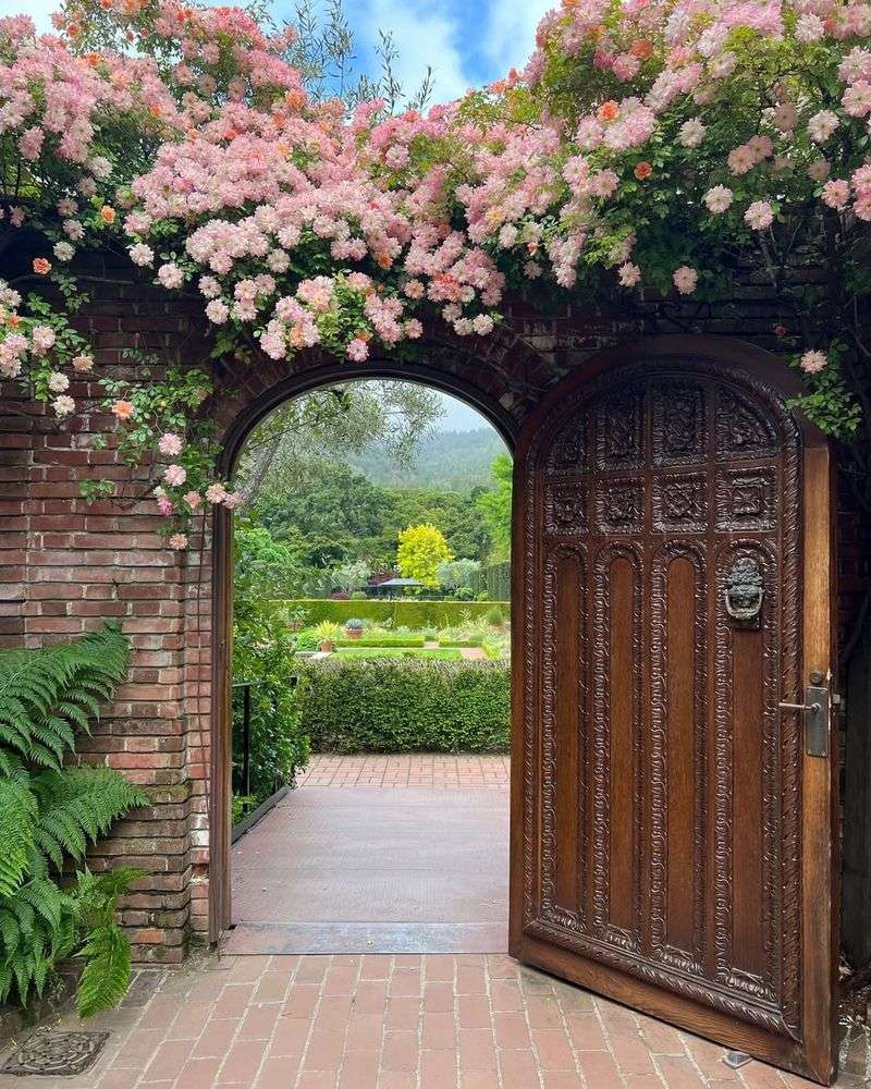 Decorate Arches with Climbing Plants