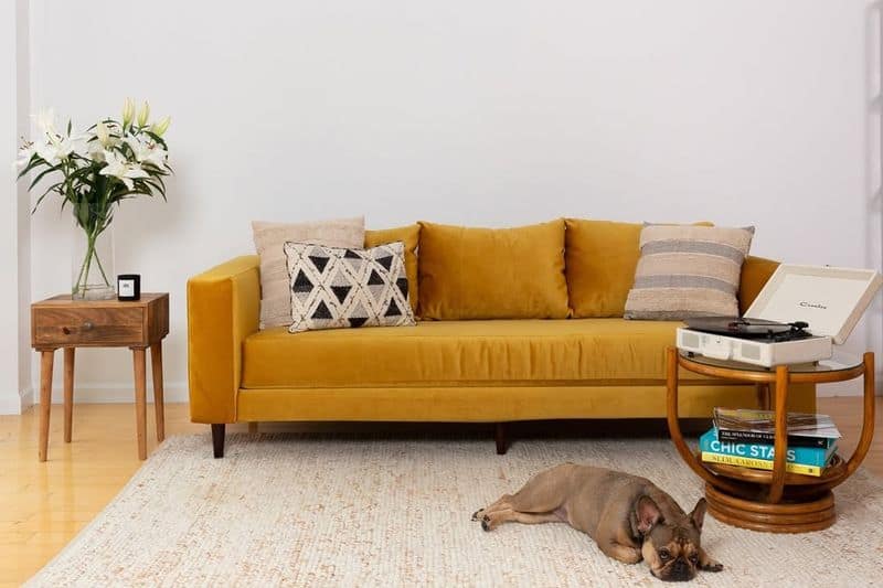 Deep Mustard Yellow