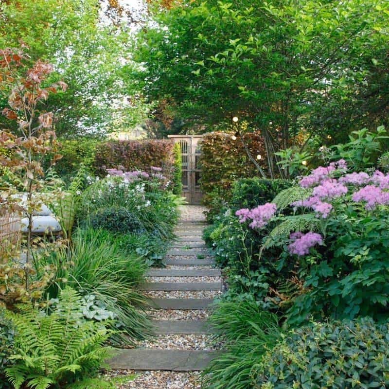 Design a Woodland Garden