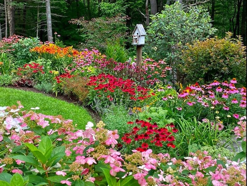 Divide and Replant Perennials
