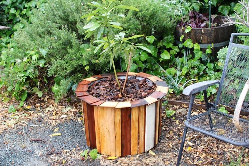 Toy Drum Plant Pots