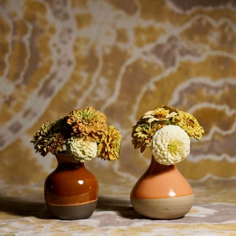 Earthenware Vases