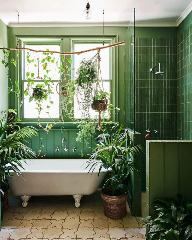 Promotes Eco-Conscious Living