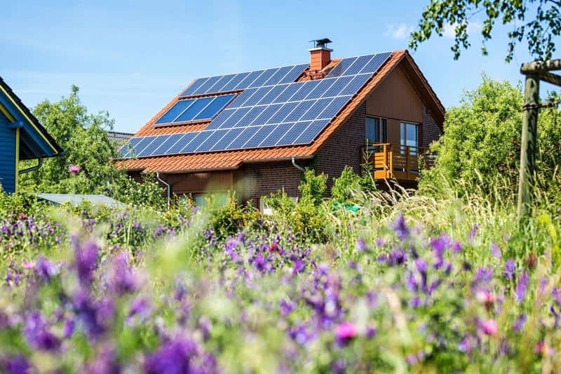 Sustainable Design Practices