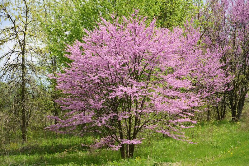 Ecological Benefits