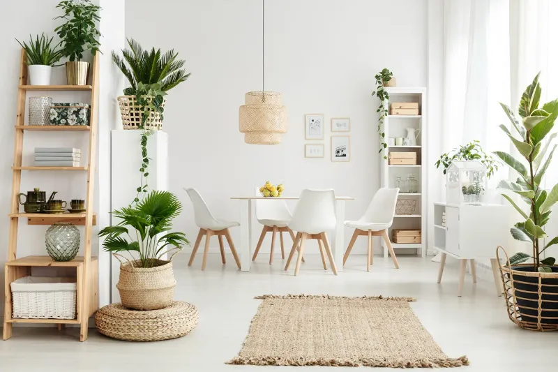 Indoor Greenery Galore