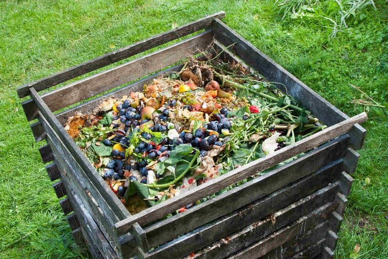 Natural Soil Enrichment