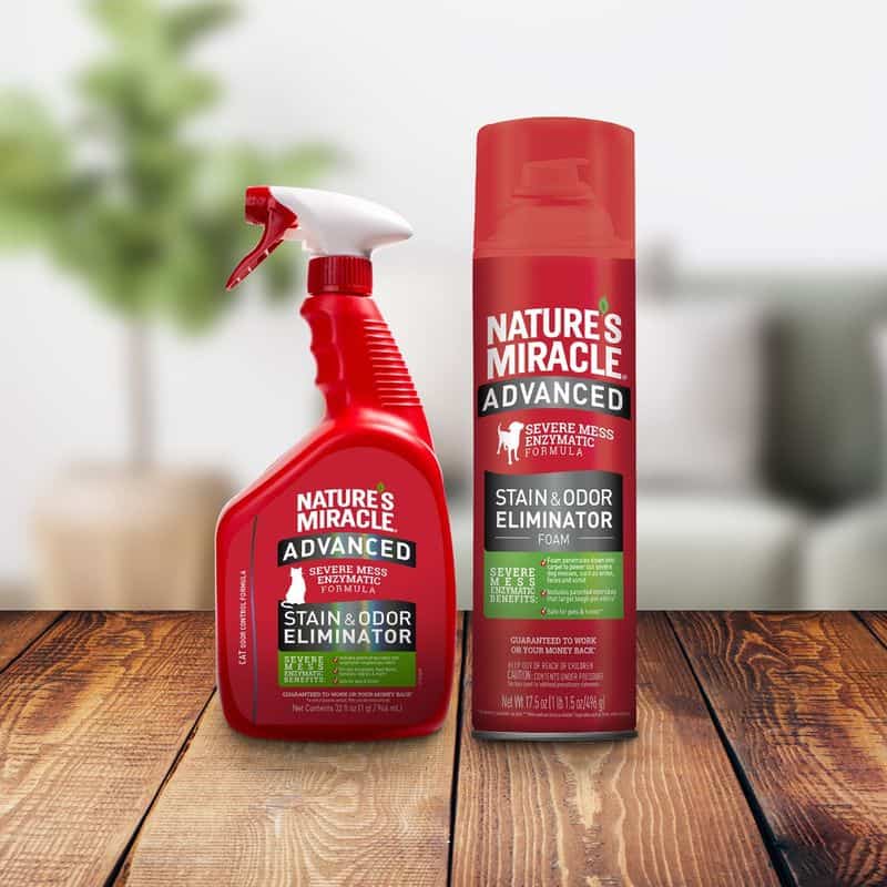 Employ Enzymatic Cleaners for Accidents