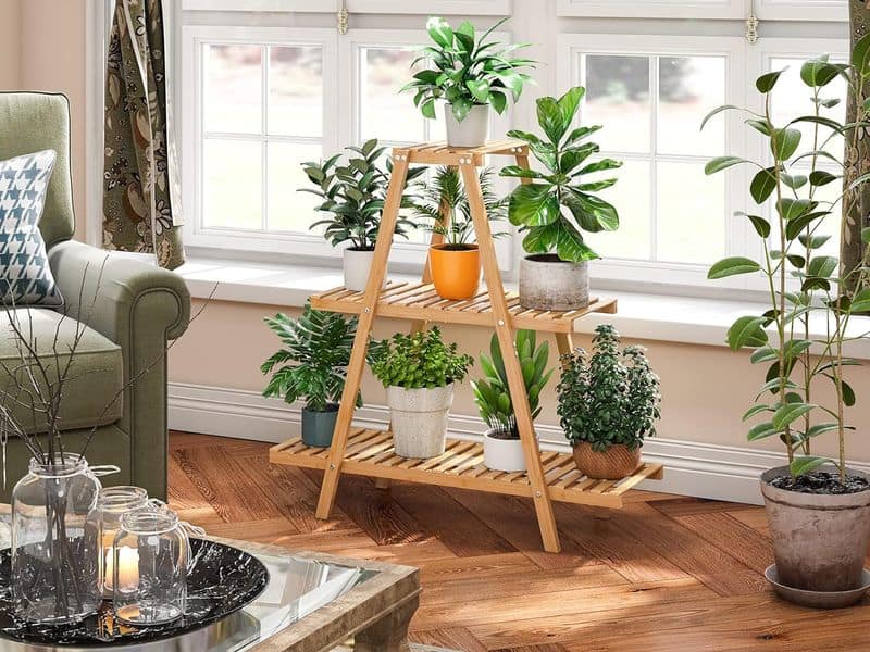 Creative Plant Arrangements
