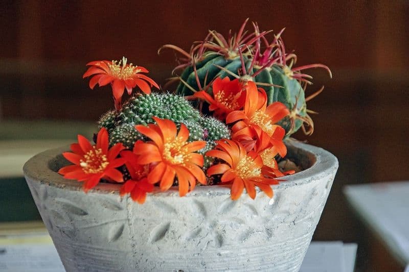 Artificial Plants in Bulk