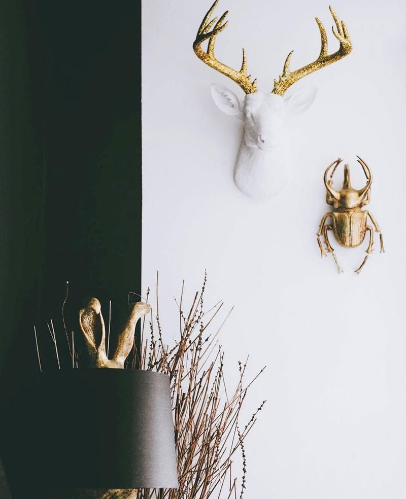 Faux Taxidermy