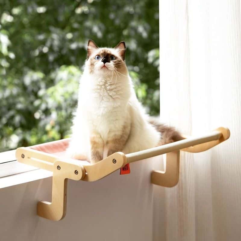 Cat Hammock