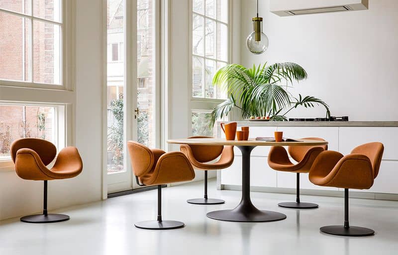 The Elegant Tulip Chair