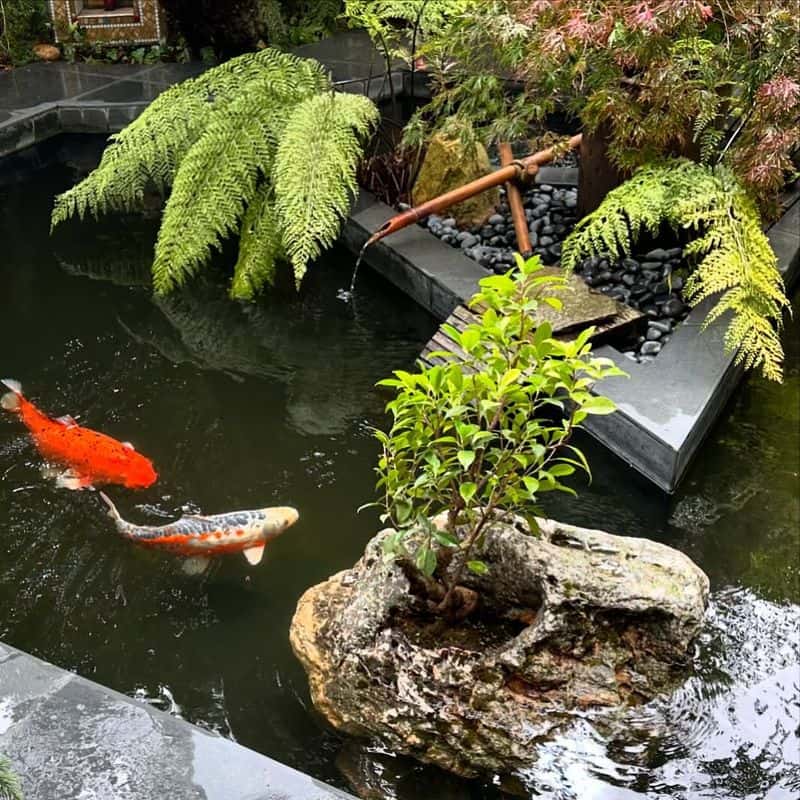 Gardens with Ponds