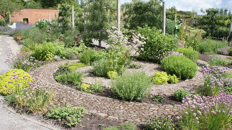 Herb Spirals