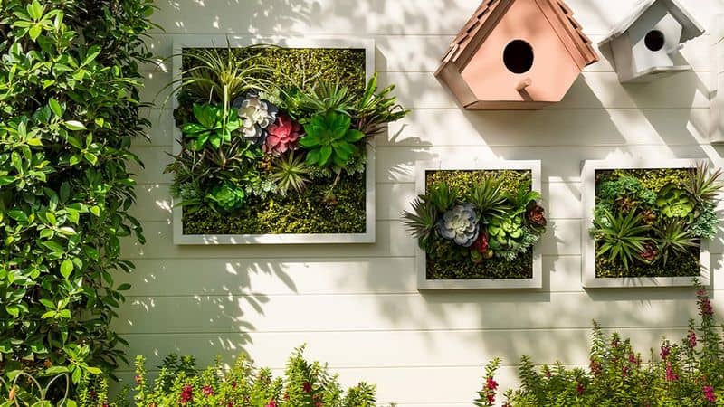 Living Walls