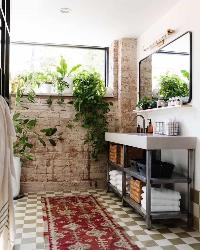 Greenery and Plants