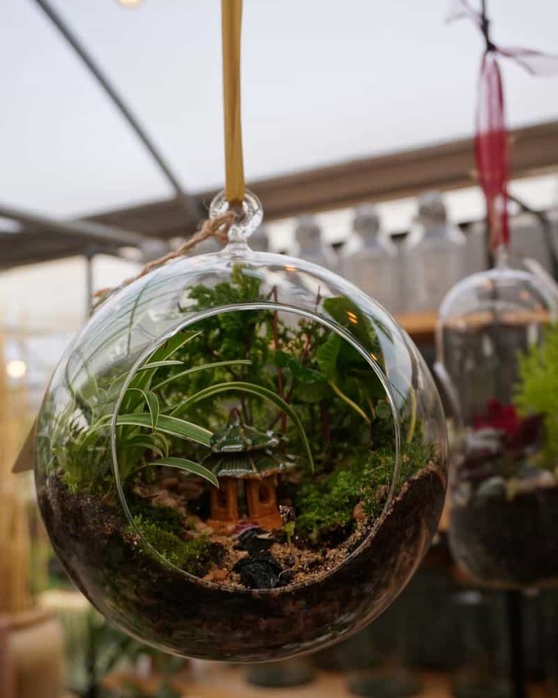 Hanging Succulent Spheres