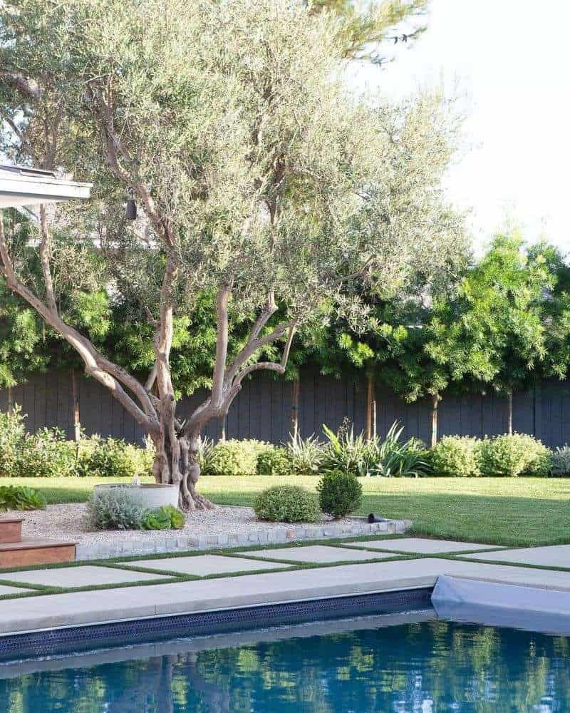 Hardscaping Elements
