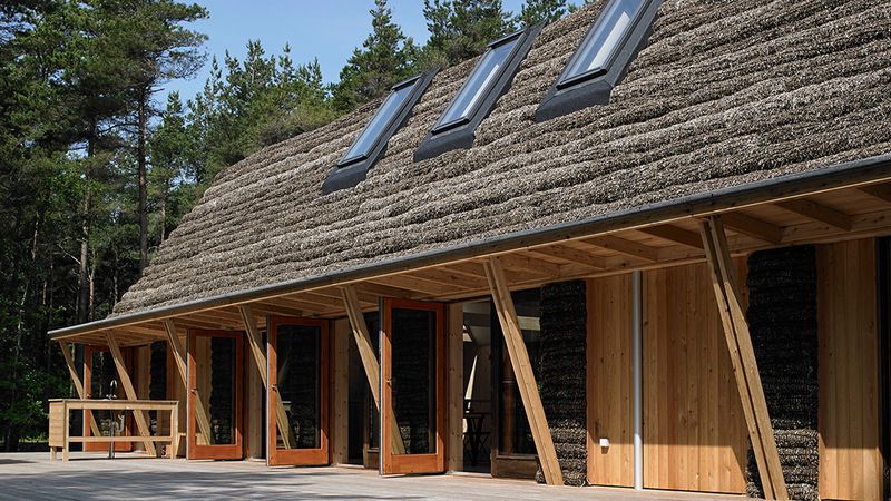 Seaweed Insulation