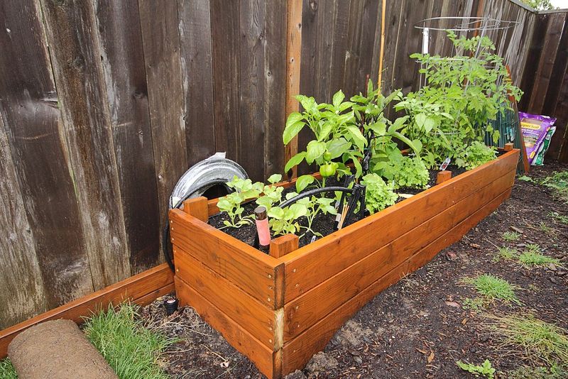 Raised Beds
