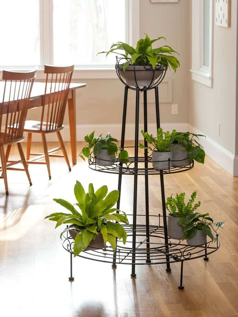 Encourages Plant Variety