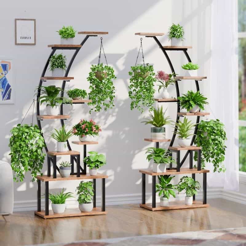Highlighting Unique Plants