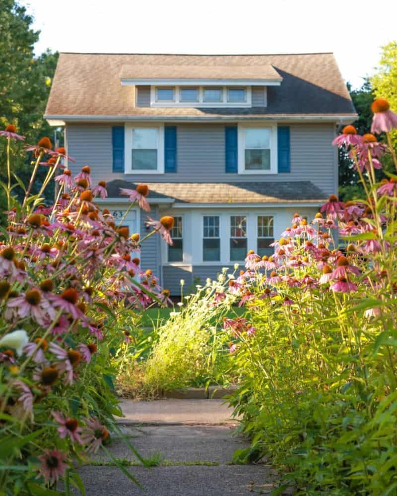 Implement Meadowscaping