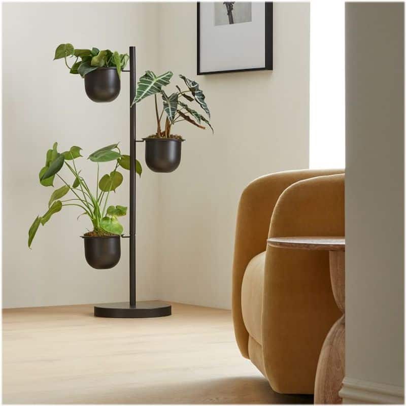 Dynamic Display