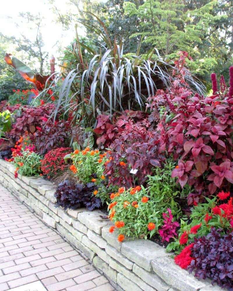 Incorporate Dark-Hued Plants