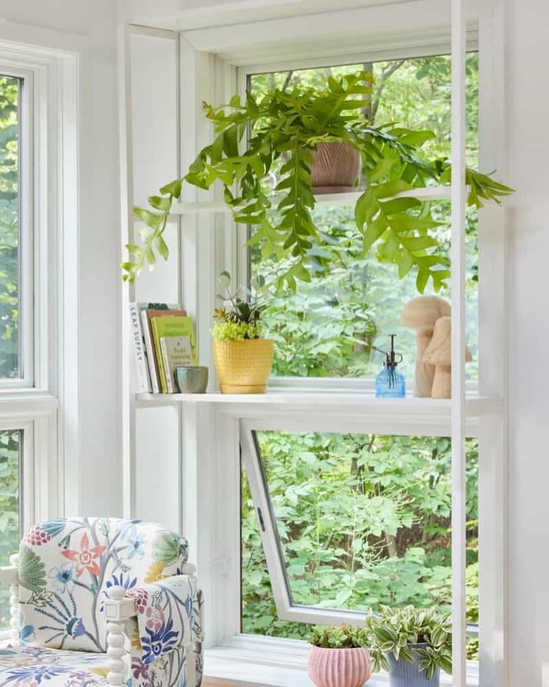 Indoor Garden Display