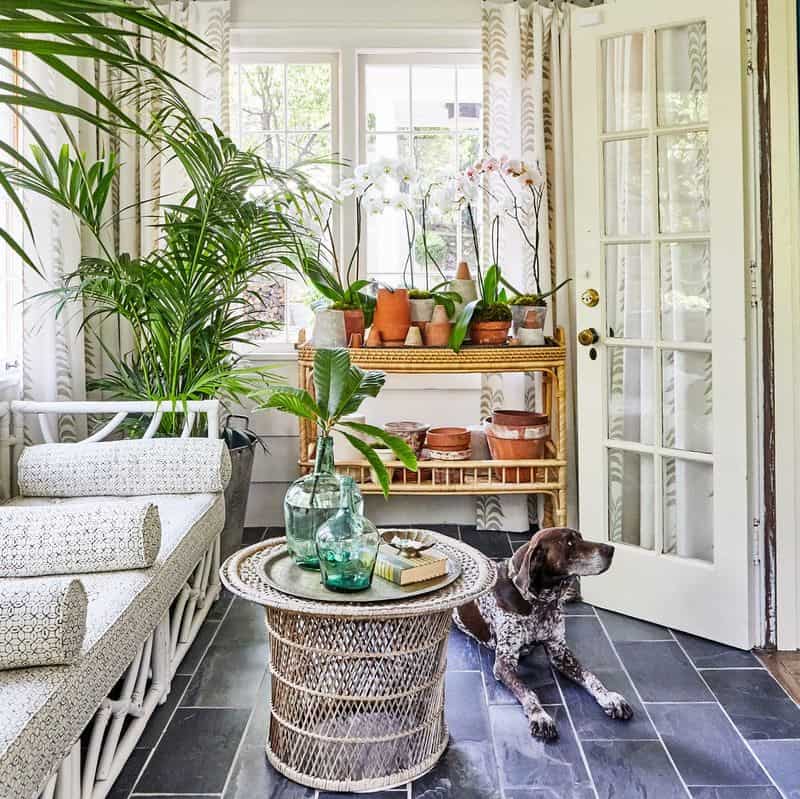 Nature-Inspired Decor