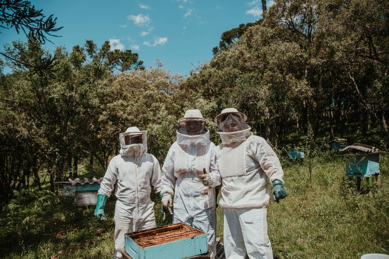 Joining a Beekeeping Community