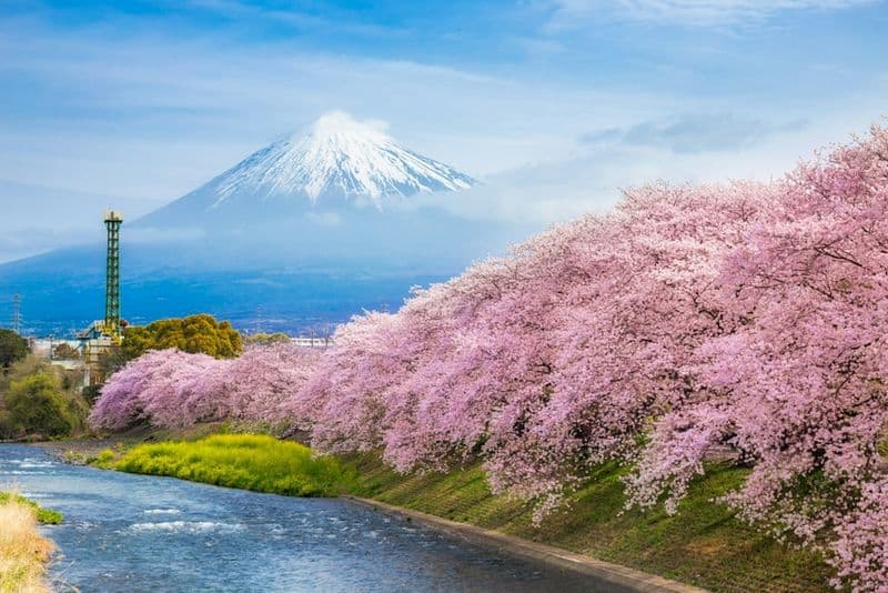 Fuji Five Lakes