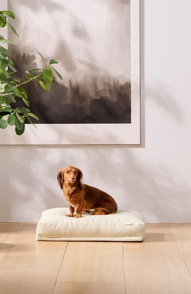 Pet Approved