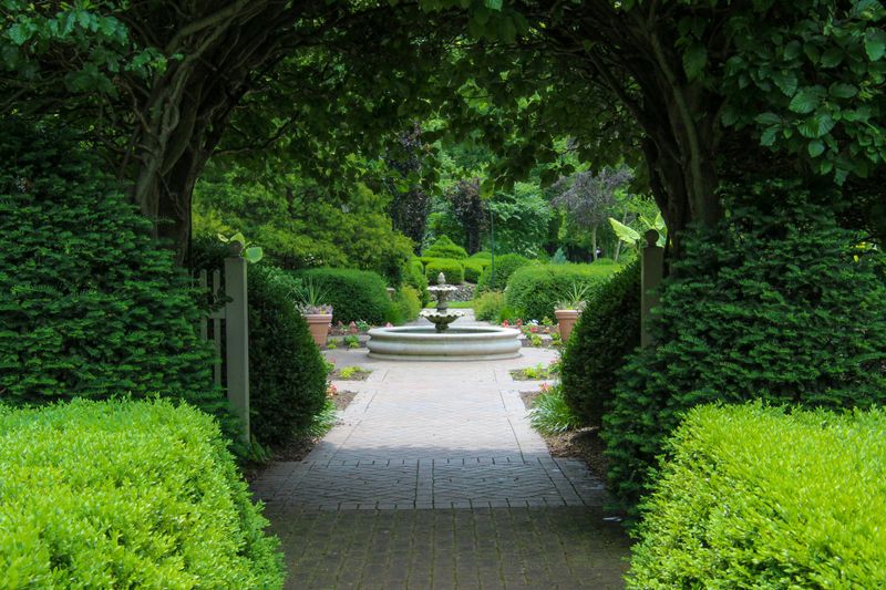 Ignoring Pathways and Access