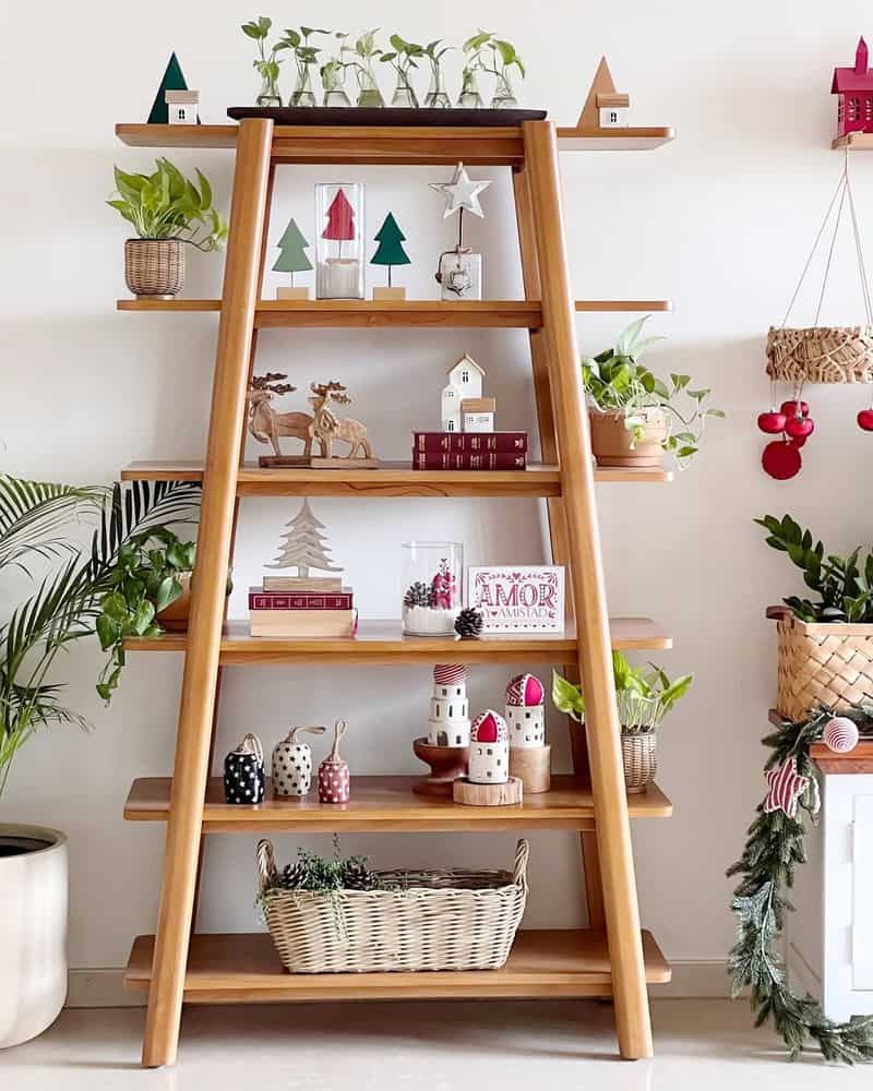 Ladder Shelves