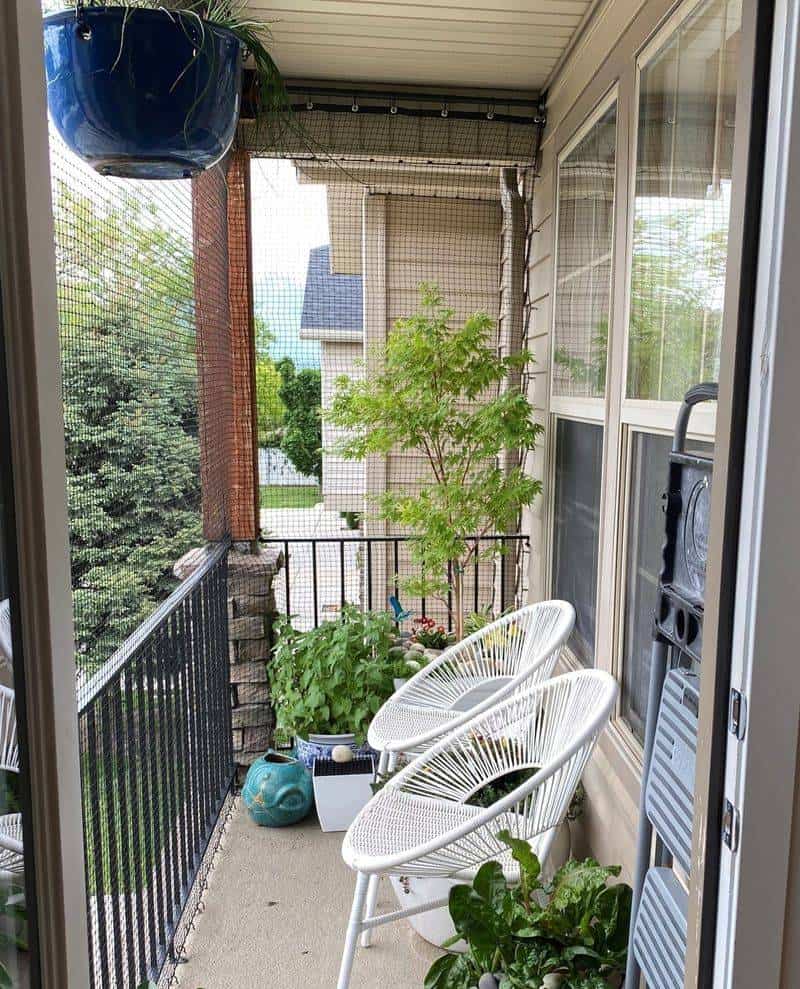 Cat Enclosure Balcony