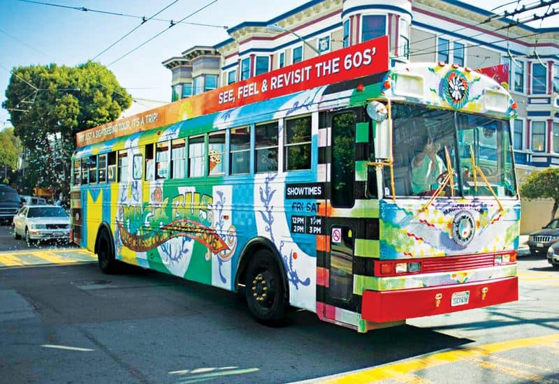 Magic Bus Experience