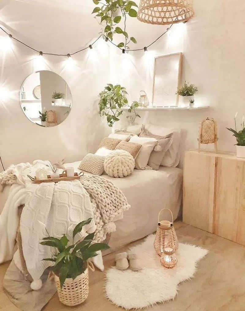 Indoor Plants